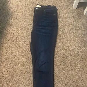 Eloquii Goldie High Waisted Skinny Jeans